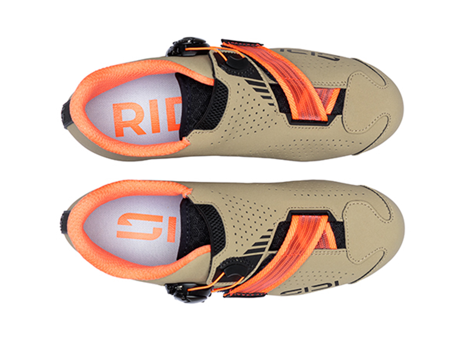 000MCAERTISWSANDCORL_5FRONT