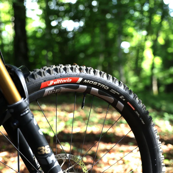 mostro-enduro-tire-06_9aa50356-ba4c-429a-b122-82588bb95ded