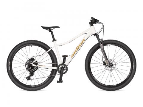 A-Matrix 27.5 disc